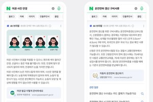 국내 ‘생성형 AI 검색 서비스’ 경쟁 불붙었다