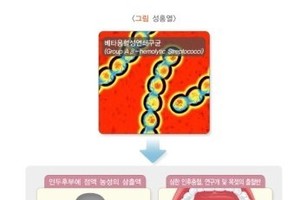 성홍열. 2017년 이후 아이들에게 최다 유행