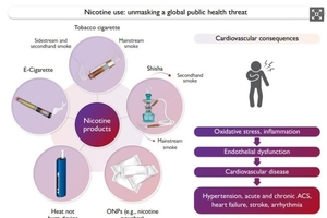 국제 심혈관 전문가 합의 보고서…“전자담배 강력한 규제 필요”