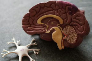 <건강칼럼> 자주 쓰이는 스테로이드, 부작용 알고 쓰자