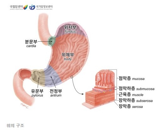 국립암센터 제공