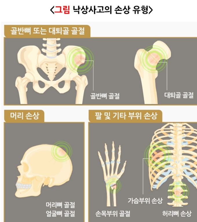 국가건강정보포털