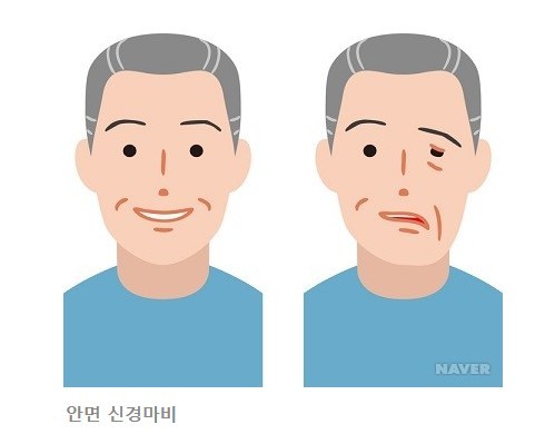 (네이버 지식백과)