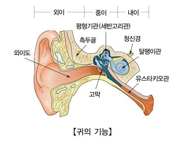 (서울아산병원)