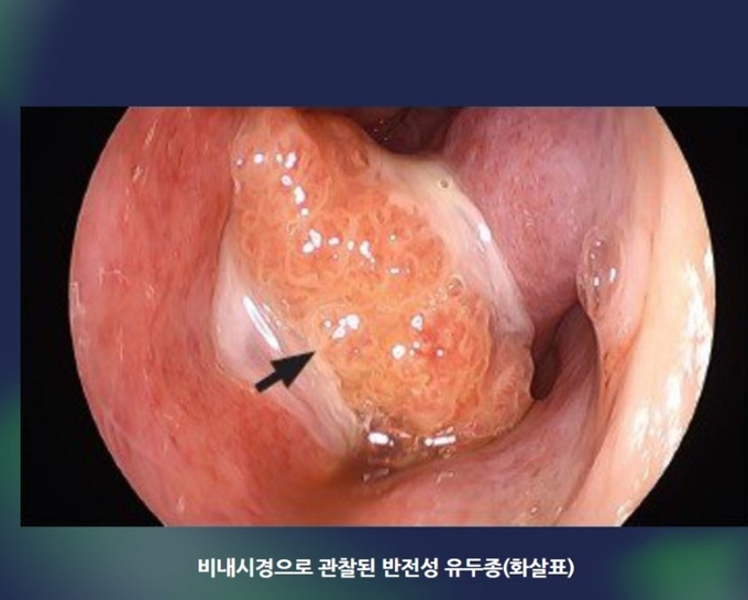 분당제생병원