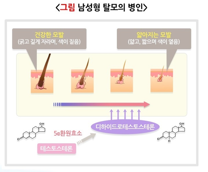 질병관리청 국가건강정보포털
