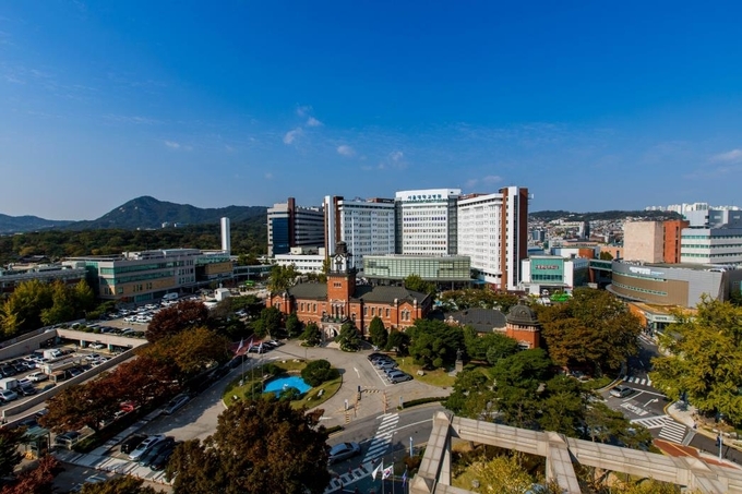 서울대병원 전경. /서울대병원 제공
