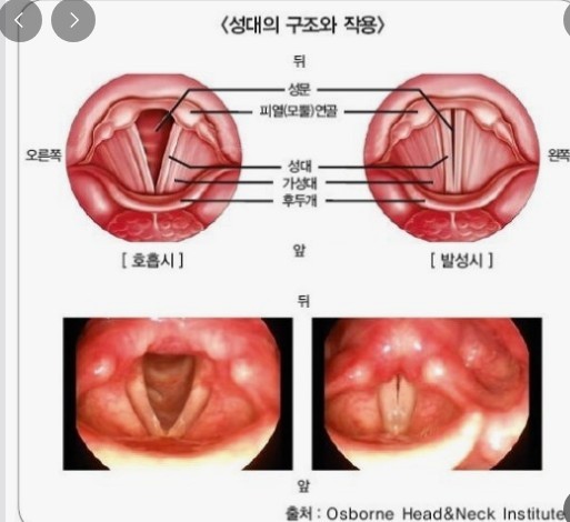 사람마다 다르지만 커피 과다 섭취는 성대에 좋지는 않다는 게 일반적 견해다.