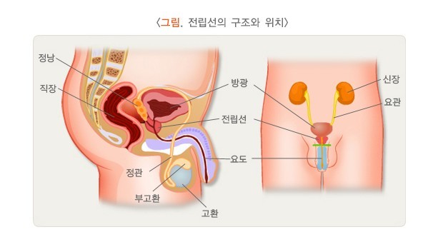 국가건강정보포털