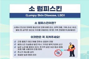 ‘럼피스킨 병’ 발생 프랑스산 소고기 수입 금지