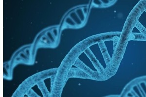 태아 유전자검사 가능 질환에 골린증후군 등 7개 추가 선정