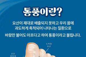 [궁금한 건강] <66>술 즐기는 남성 만성통풍 어떻게 관리해야?