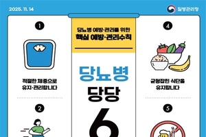 14일 '세계 당뇨병의 날'…질병청 6개 예방관리 수칙 발표
