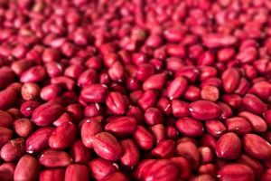 [슈퍼푸드 ‘콩’] ⑧우리에게 친숙한 ‘팥’도 콩이다