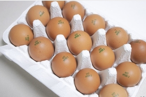 [건강한 밥상] <22>달걀의 난각번호와 HU는 어떤 차이?