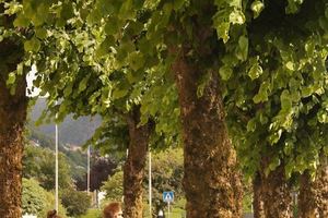 [생활 속 건강] ③‘많이 걷기’보다 ‘제대로 걷기’가 중요하다